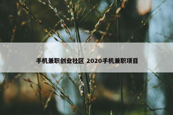 手机兼职创业社区 2020手机兼职项目