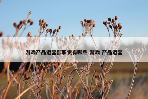 游戏产品运营部职责有哪些 游戏 产品运营