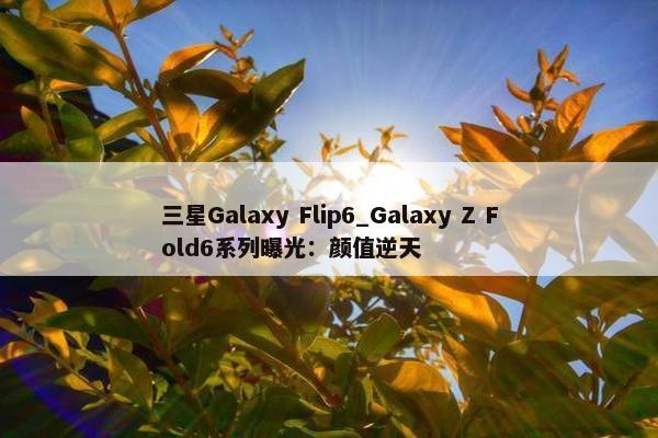 三星Galaxy Flip6_Galaxy Z Fold6系列曝光：颜值逆天