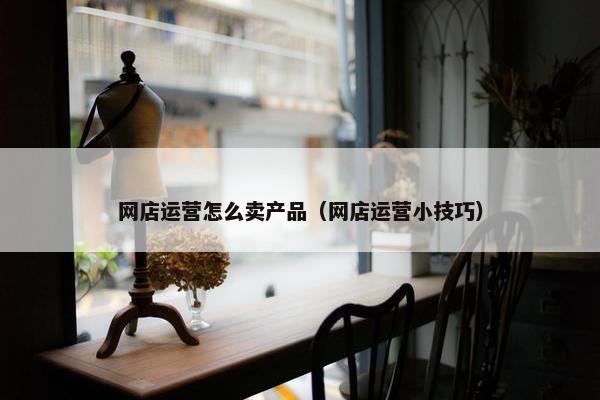 网店运营怎么卖产品（网店运营小技巧）