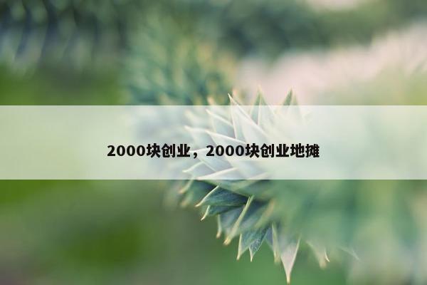 2000块创业，2000块创业地摊