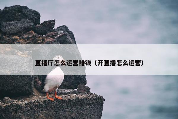 直播厅怎么运营赚钱（开直播怎么运营）