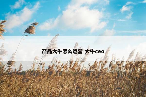 产品大牛怎么运营 大牛ceo