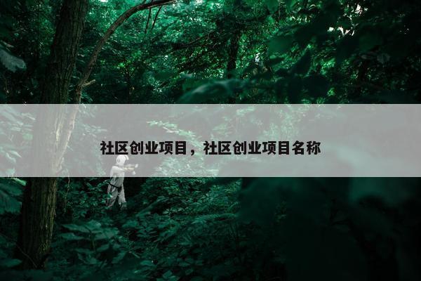 社区创业项目，社区创业项目名称