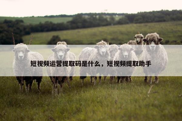 短视频运营提取码是什么，短视频提取助手