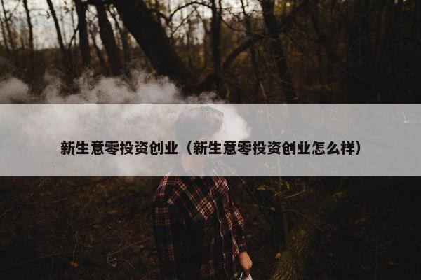 新生意零投资创业（新生意零投资创业怎么样）