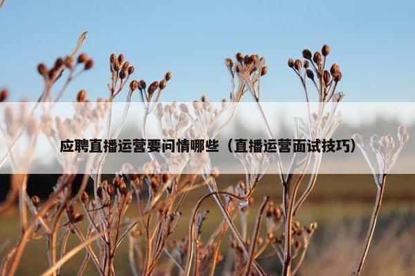 应聘直播运营要问情哪些（直播运营面试技巧）