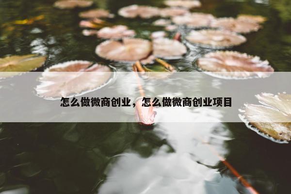 怎么做微商创业，怎么做微商创业项目