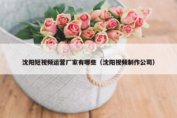 沈阳短视频运营厂家有哪些（沈阳视频制作公司）