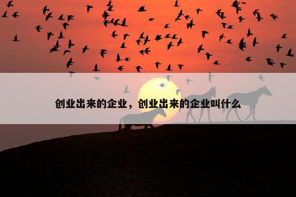 创业出来的企业，创业出来的企业叫什么