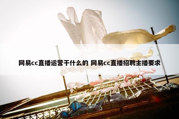 网易cc直播运营干什么的 网易cc直播招聘主播要求