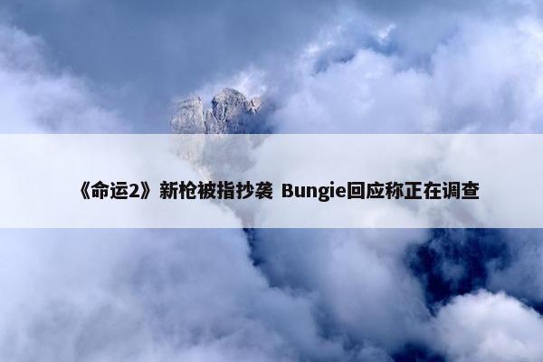 《命运2》新枪被指抄袭 Bungie回应称正在调查