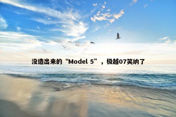 没造出来的“Model 5”，极越07笑纳了