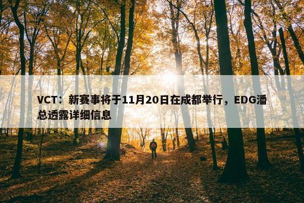 VCT：新赛事将于11月20日在成都举行，EDG潘总透露详细信息