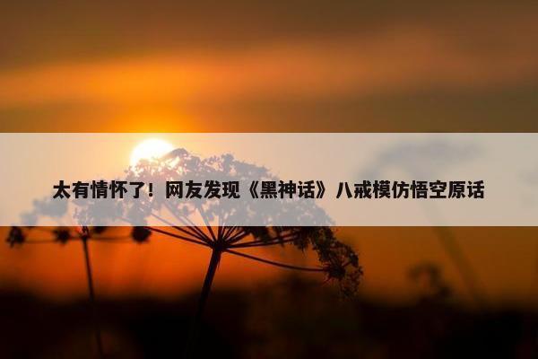 太有情怀了！网友发现《黑神话》八戒模仿悟空原话