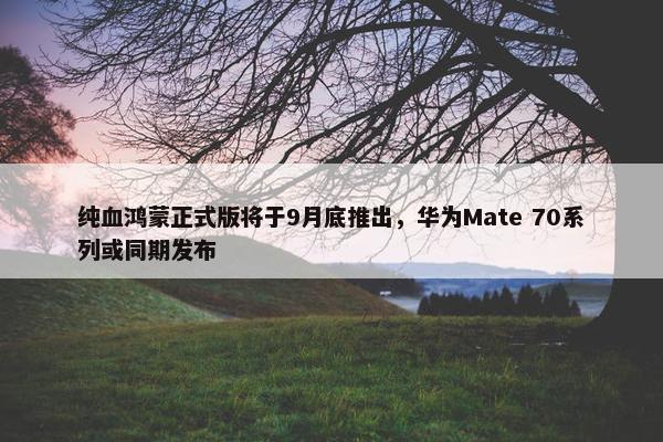 纯血鸿蒙正式版将于9月底推出，华为Mate 70系列或同期发布