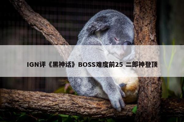 IGN评《黑神话》BOSS难度前25 二郎神登顶