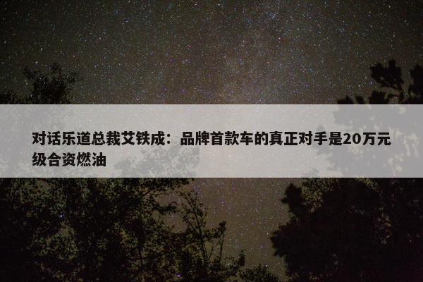 对话乐道总裁艾铁成：品牌首款车的真正对手是20万元级合资燃油