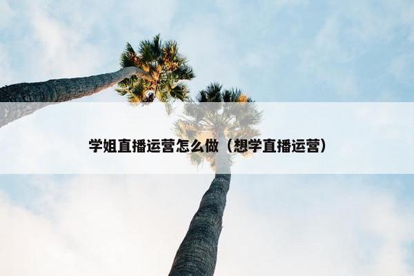 学姐直播运营怎么做（想学直播运营）