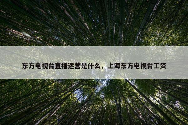 东方电视台直播运营是什么，上海东方电视台工资