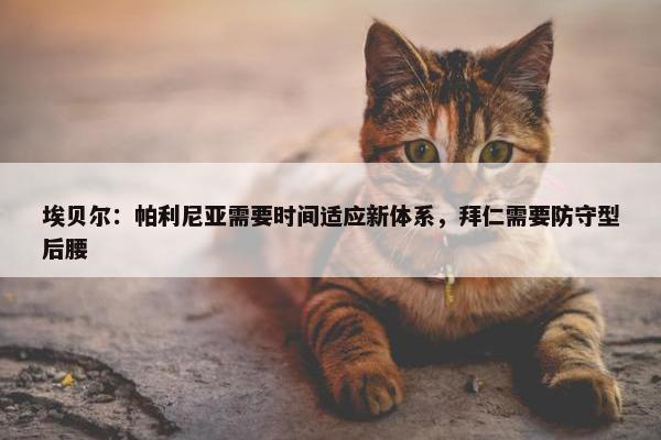 埃贝尔：帕利尼亚需要时间适应新体系，拜仁需要防守型后腰