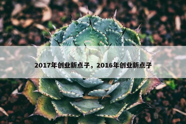 2017年创业新点子，2016年创业新点子