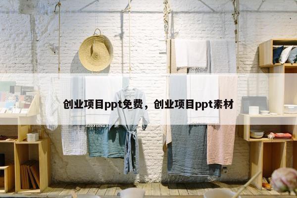 创业项目ppt免费，创业项目ppt素材