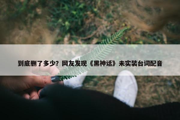 到底删了多少？网友发现《黑神话》未实装台词配音