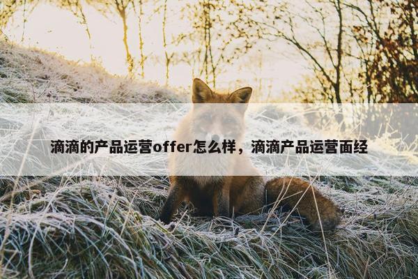 滴滴的产品运营offer怎么样，滴滴产品运营面经