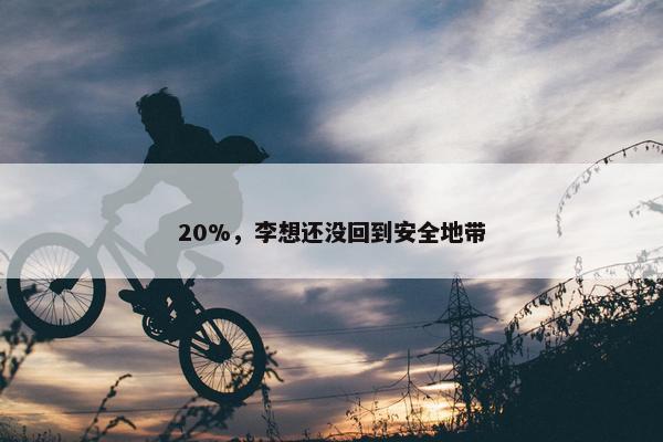 20%，李想还没回到安全地带