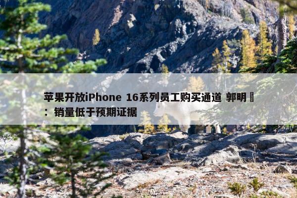 苹果开放iPhone 16系列员工购买通道 郭明錤：销量低于预期证据