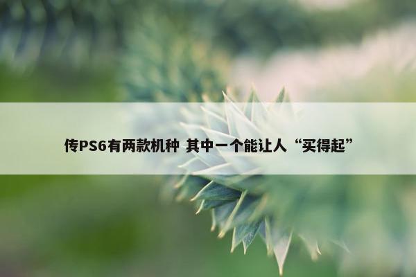 传PS6有两款机种 其中一个能让人“买得起”