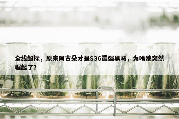 全线超标，原来阿古朵才是S36最强黑马，为啥她突然崛起了？