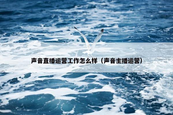 声音直播运营工作怎么样（声音主播运营）