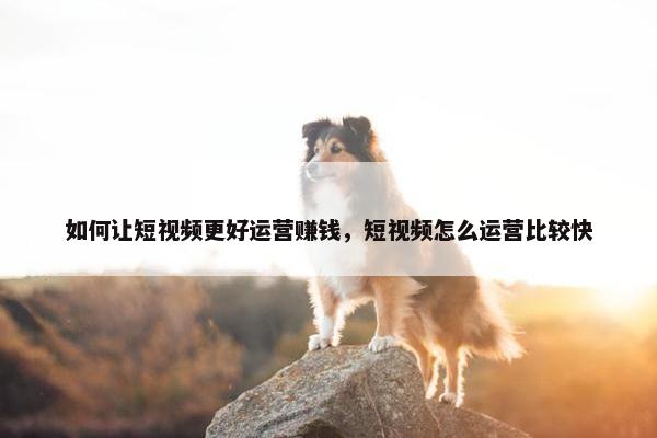 如何让短视频更好运营赚钱，短视频怎么运营比较快