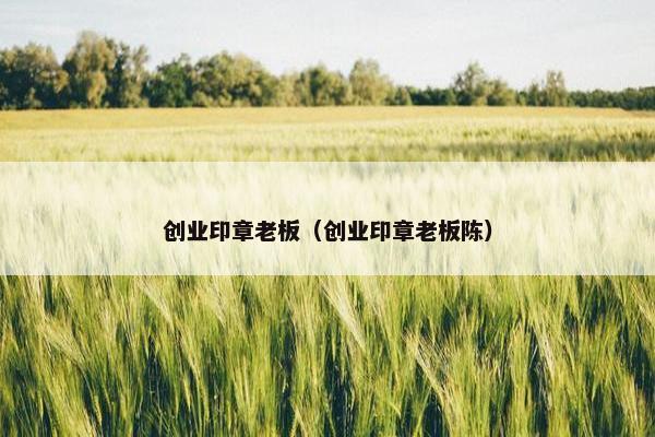 创业印章老板（创业印章老板陈）