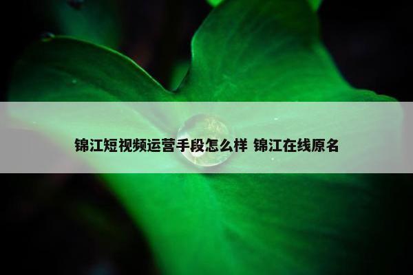 锦江短视频运营手段怎么样 锦江在线原名