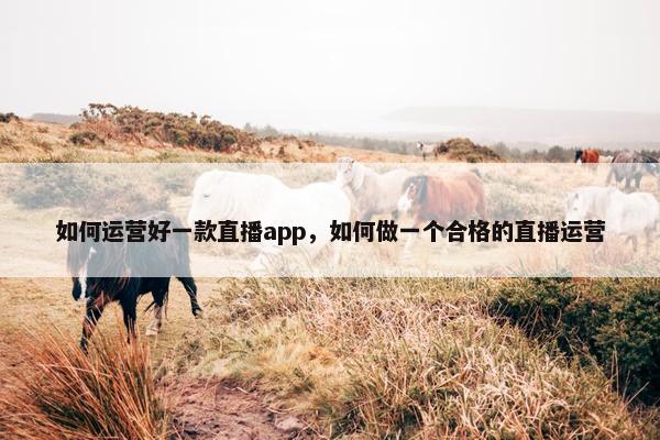 如何运营好一款直播app，如何做一个合格的直播运营