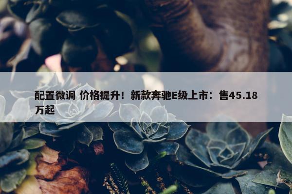 配置微调 价格提升！新款奔驰E级上市：售45.18万起