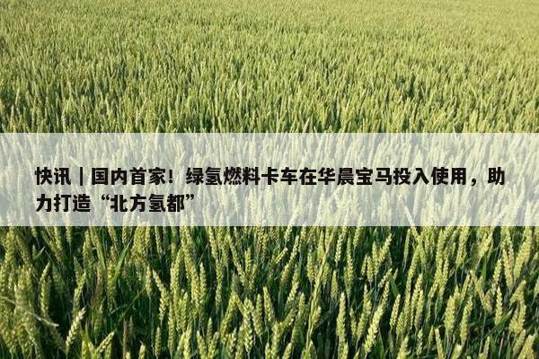 快讯｜国内首家！绿氢燃料卡车在华晨宝马投入使用，助力打造“北方氢都”