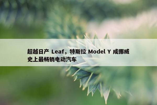 超越日产 Leaf，特斯拉 Model Y 成挪威史上最畅销电动汽车