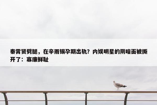 秦霄贤劈腿，在辛雨锡孕期出轨？内娱明星的阴暗面被撕开了：寡廉鲜耻