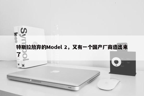 特斯拉放弃的Model 2，又有一个国产厂商造出来了