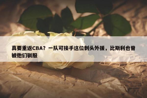 真要重返CBA？一队可接手这位刺头外援，比斯利也曾被他们驯服