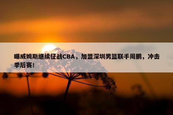 曝威姆斯继续征战CBA，加盟深圳男篮联手周鹏，冲击季后赛！