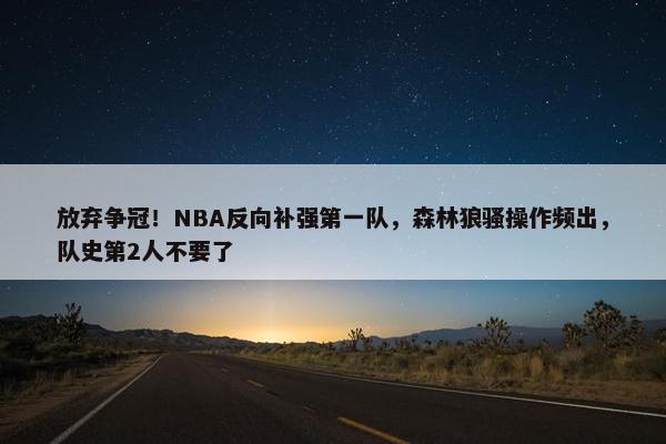 放弃争冠！NBA反向补强第一队，森林狼骚操作频出，队史第2人不要了