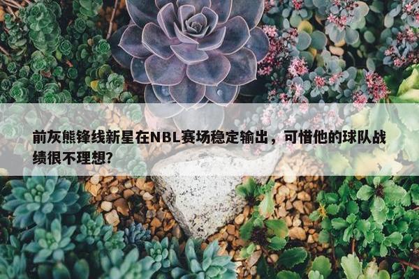 前灰熊锋线新星在NBL赛场稳定输出，可惜他的球队战绩很不理想？