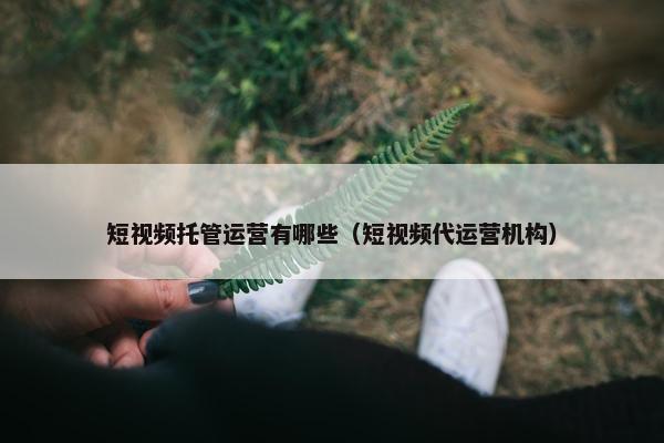 短视频托管运营有哪些（短视频代运营机构）