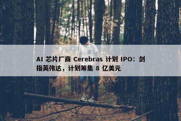 AI 芯片厂商 Cerebras 计划 IPO：剑指英伟达，计划筹集 8 亿美元