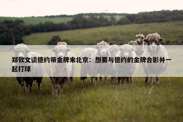 郑钦文谈德约带金牌来北京：想要与德约的金牌合影并一起打球